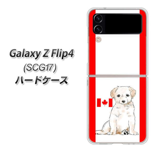Galaxy Z Flip4 SCG17 au 高画質仕上げ 背面印刷 ハードケース【YD824 ラブラドールレトリバー05】