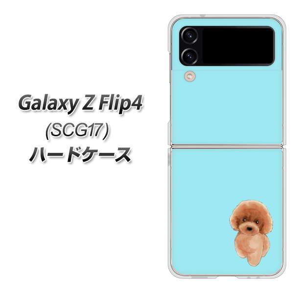 Galaxy Z Flip4 SCG17 au 高画質仕上げ 背面印刷 ハードケース【YJ050 トイプードルレッド(ブルー)】
