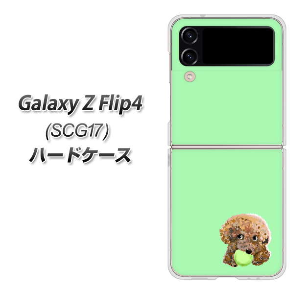 Galaxy Z Flip4 SCG17 au 高画質仕上げ 背面印刷 ハードケース【YJ055 トイプードル&ボール(グリーン)】