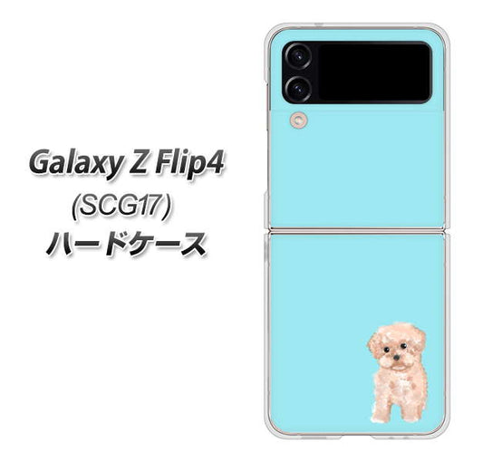 Galaxy Z Flip4 SCG17 au 高画質仕上げ 背面印刷 ハードケース【YJ062 トイプードルアプリコット(ブルー)】