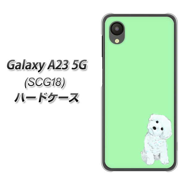 Galaxy A23 5G SCG18 au 高画質仕上げ 背面印刷 ハードケース【YJ071 トイプードルホワイト(グリーン)】