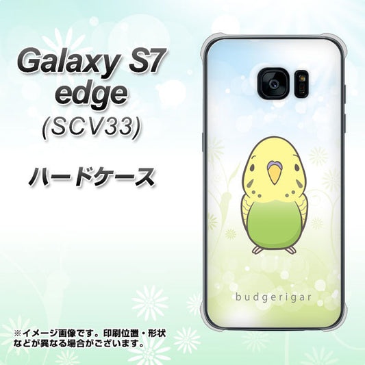 au ギャラクシーS7エッジ SCV33 高画質仕上げ 背面印刷 ハードケース【SC838 セキセイインコ グリーン】