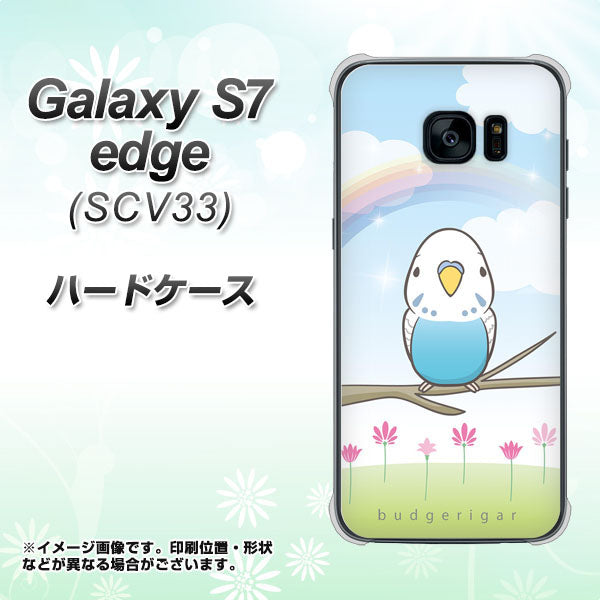 au ギャラクシーS7エッジ SCV33 高画質仕上げ 背面印刷 ハードケース【SC839 セキセイインコ ブルー】