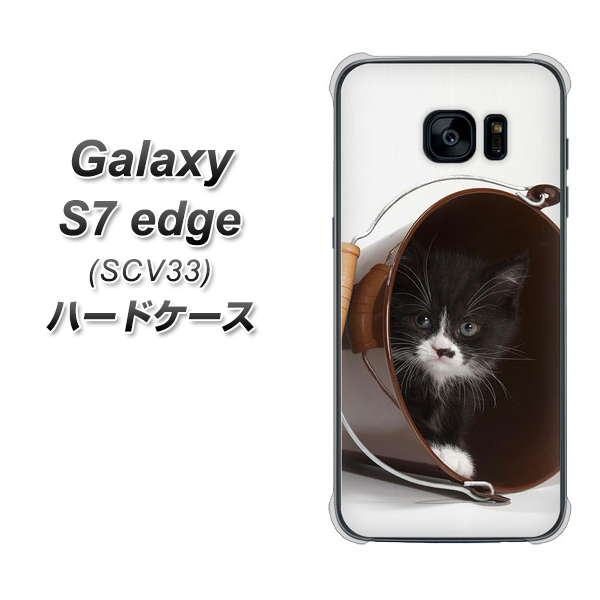 au ギャラクシーS7エッジ SCV33 高画質仕上げ 背面印刷 ハードケース【VA800 ネコとバケツ】