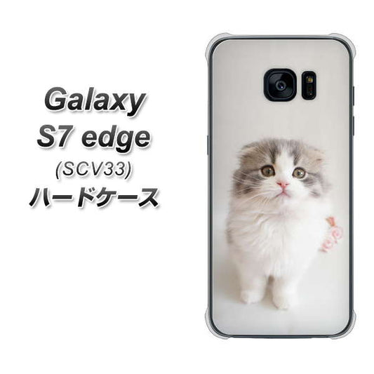au ギャラクシーS7エッジ SCV33 高画質仕上げ 背面印刷 ハードケース【VA803 まっていますネコ】