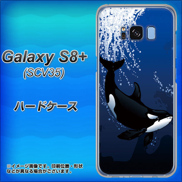 au ギャラクシー S8 プラス SCV35 高画質仕上げ 背面印刷 ハードケース【423 シャチ】