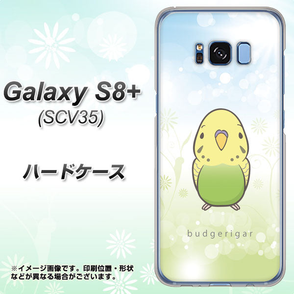 au ギャラクシー S8 プラス SCV35 高画質仕上げ 背面印刷 ハードケース【SC838 セキセイインコ グリーン】