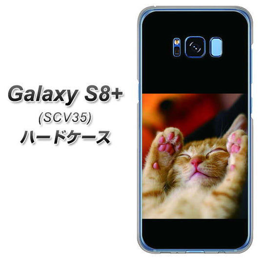 au ギャラクシー S8 プラス SCV35 高画質仕上げ 背面印刷 ハードケース【VA804 爆睡するネコ】