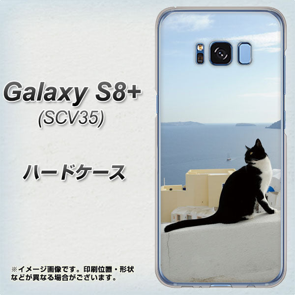 au ギャラクシー S8 プラス SCV35 高画質仕上げ 背面印刷 ハードケース【VA805 ネコと地中海】