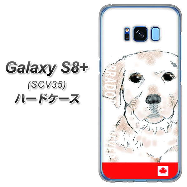 au ギャラクシー S8 プラス SCV35 高画質仕上げ 背面印刷 ハードケース【YD821 ラブラドールレトリバー02】