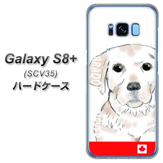 au ギャラクシー S8 プラス SCV35 高画質仕上げ 背面印刷 ハードケース【YD821 ラブラドールレトリバー02】