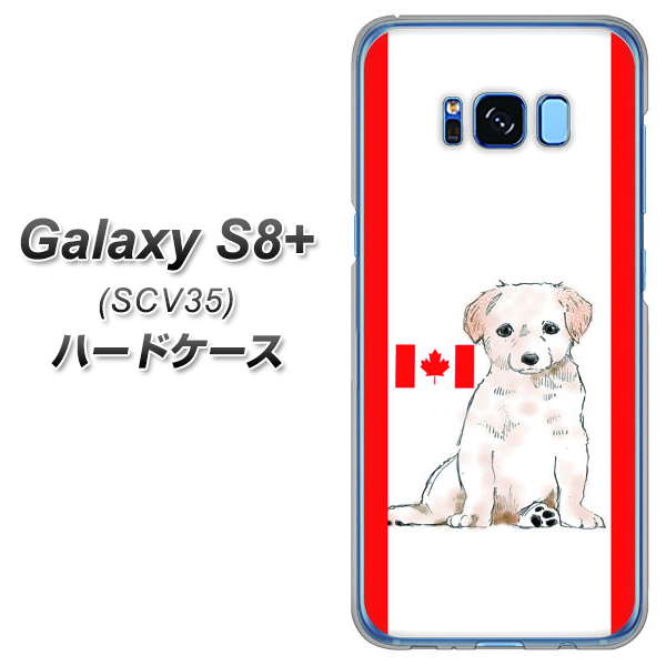 au ギャラクシー S8 プラス SCV35 高画質仕上げ 背面印刷 ハードケース【YD824 ラブラドールレトリバー05】