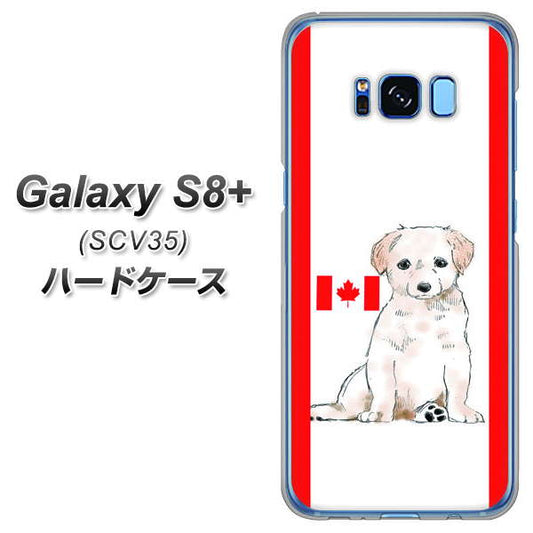 au ギャラクシー S8 プラス SCV35 高画質仕上げ 背面印刷 ハードケース【YD824 ラブラドールレトリバー05】