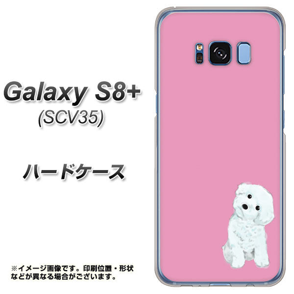 au ギャラクシー S8 プラス SCV35 高画質仕上げ 背面印刷 ハードケース【YJ069 トイプードルホワイト(ピンク)】