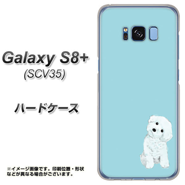 au ギャラクシー S8 プラス SCV35 高画質仕上げ 背面印刷 ハードケース【YJ070 トイプードルホワイト(ブルー)】