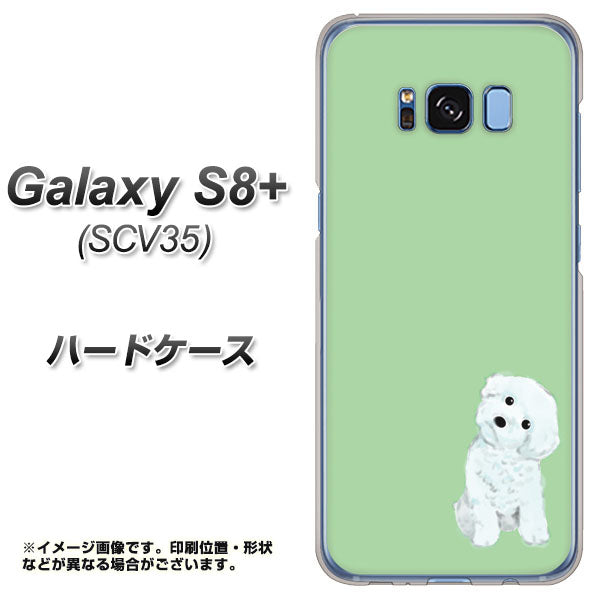 au ギャラクシー S8 プラス SCV35 高画質仕上げ 背面印刷 ハードケース【YJ071 トイプードルホワイト(グリーン)】