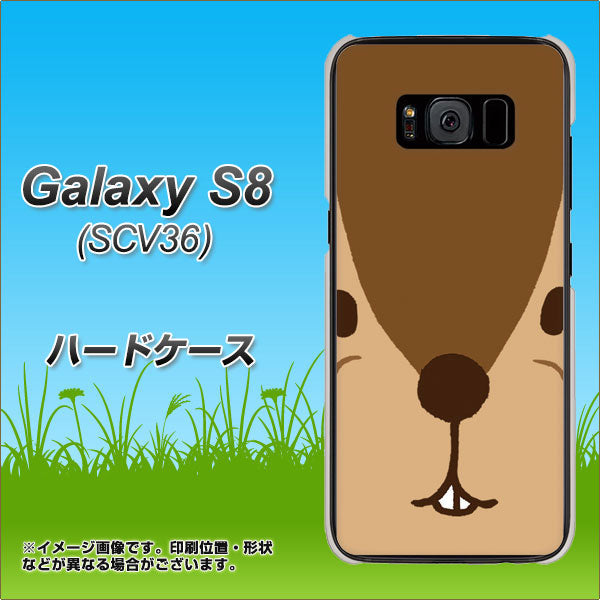 au ギャラクシー S8 SCV36 高画質仕上げ 背面印刷 ハードケース【349 りす】