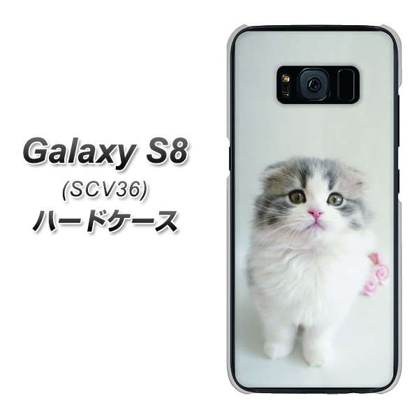 au ギャラクシー S8 SCV36 高画質仕上げ 背面印刷 ハードケース【VA803 まっていますネコ】