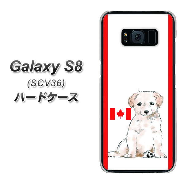 au ギャラクシー S8 SCV36 高画質仕上げ 背面印刷 ハードケース【YD824 ラブラドールレトリバー05】
