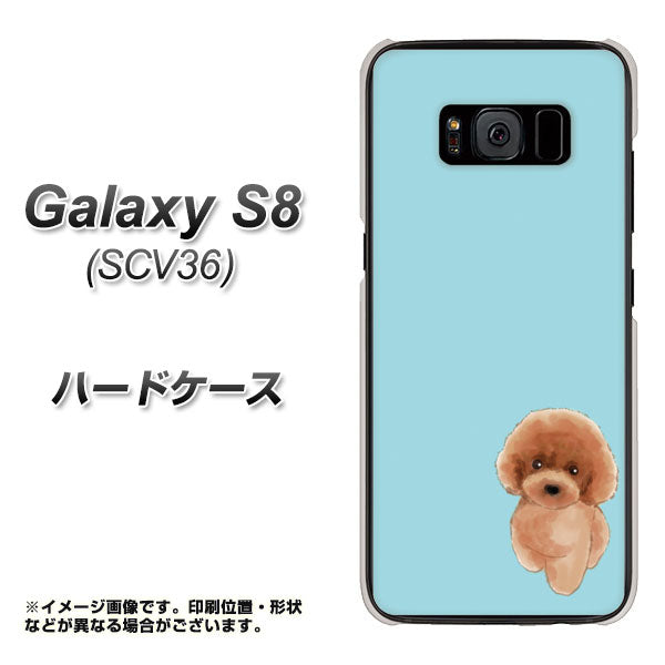 au ギャラクシー S8 SCV36 高画質仕上げ 背面印刷 ハードケース【YJ050 トイプードルレッド(ブルー)】