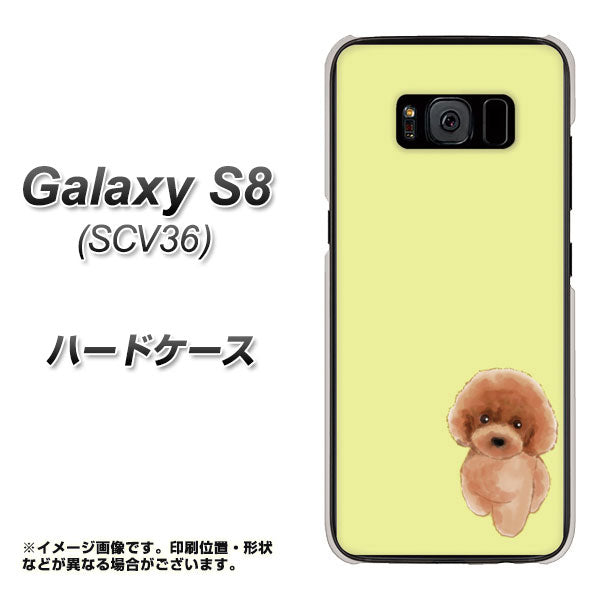 au ギャラクシー S8 SCV36 高画質仕上げ 背面印刷 ハードケース【YJ051 トイプードルレッド(イエロー)】