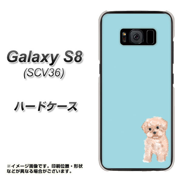 au ギャラクシー S8 SCV36 高画質仕上げ 背面印刷 ハードケース【YJ062 トイプードルアプリコット(ブルー)】