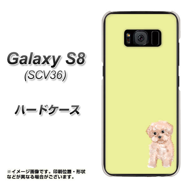 au ギャラクシー S8 SCV36 高画質仕上げ 背面印刷 ハードケース【YJ064 トイプードルアプリコット(イエロー)】