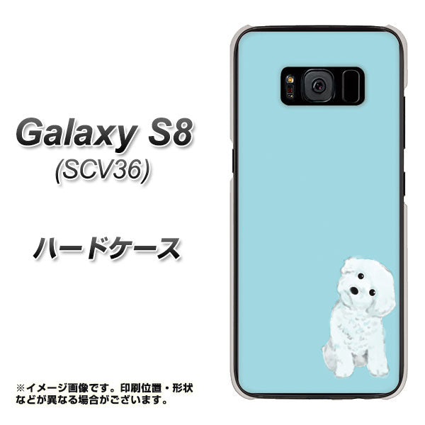 au ギャラクシー S8 SCV36 高画質仕上げ 背面印刷 ハードケース【YJ070 トイプードルホワイト(ブルー)】