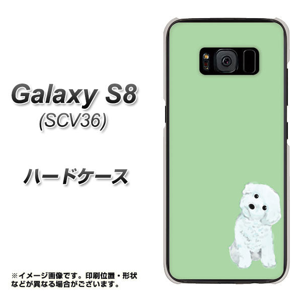 au ギャラクシー S8 SCV36 高画質仕上げ 背面印刷 ハードケース【YJ071 トイプードルホワイト(グリーン)】