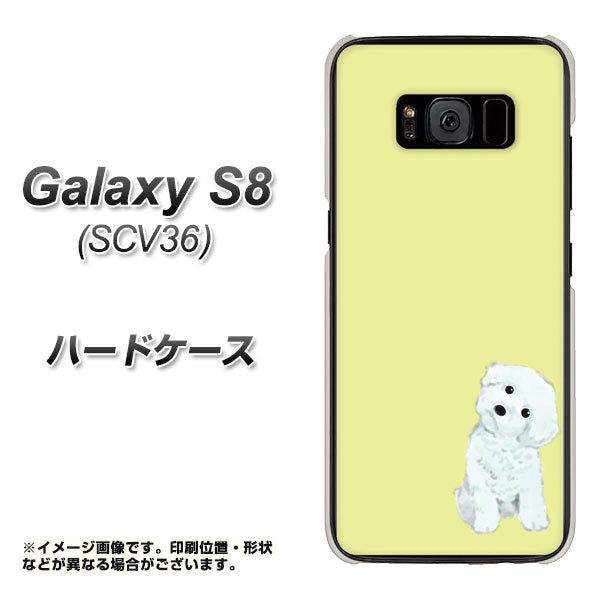 au ギャラクシー S8 SCV36 高画質仕上げ 背面印刷 ハードケース【YJ072 トイプードルホワイト(イエロー)】