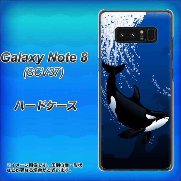 au ギャラクシーノート8 SCV37 高画質仕上げ 背面印刷 ハードケース【423 シャチ】