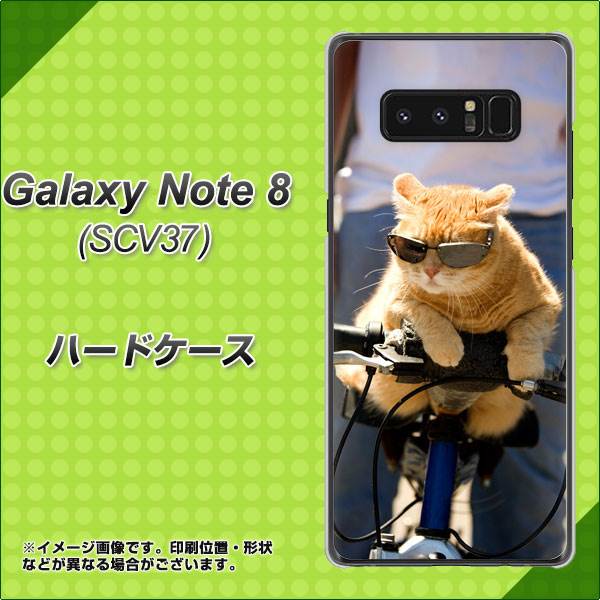 au ギャラクシーノート8 SCV37 高画質仕上げ 背面印刷 ハードケース【595 にゃんとサイクル】