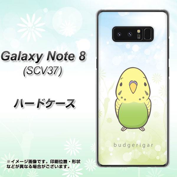 au ギャラクシーノート8 SCV37 高画質仕上げ 背面印刷 ハードケース【SC838 セキセイインコ グリーン】