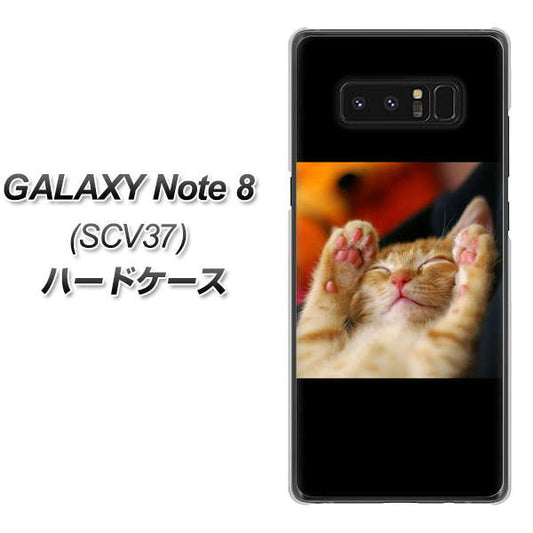 au ギャラクシーノート8 SCV37 高画質仕上げ 背面印刷 ハードケース【VA804 爆睡するネコ】
