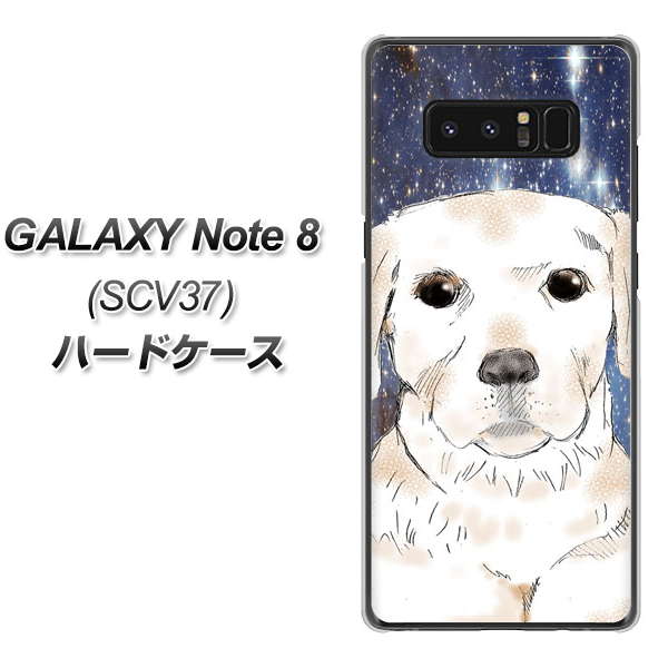 au ギャラクシーノート8 SCV37 高画質仕上げ 背面印刷 ハードケース【YD820 ラブラドールレトリバー01】