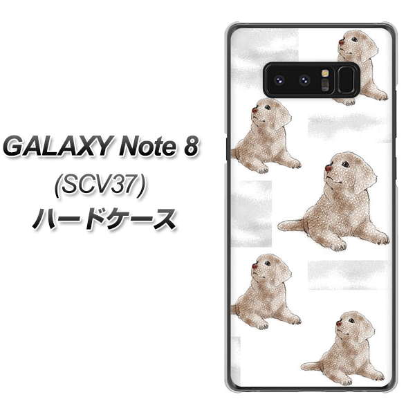au ギャラクシーノート8 SCV37 高画質仕上げ 背面印刷 ハードケース【YD823 ラブラドールレトリバー04】