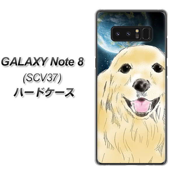 au ギャラクシーノート8 SCV37 高画質仕上げ 背面印刷 ハードケース【YD826 ゴールデンレトリバー02】