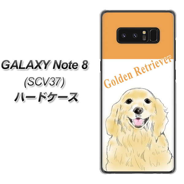 au ギャラクシーノート8 SCV37 高画質仕上げ 背面印刷 ハードケース【YD827 ゴールデンレトリバー03】