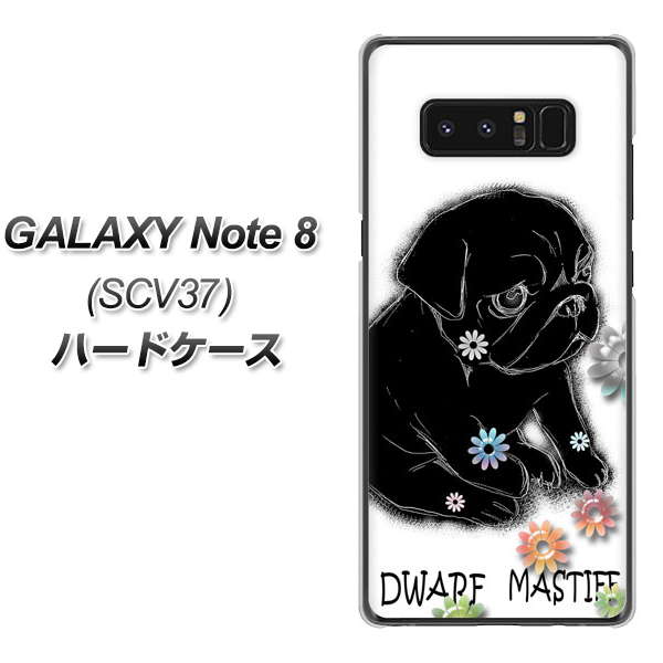 au ギャラクシーノート8 SCV37 高画質仕上げ 背面印刷 ハードケース【YD859 パグ05】