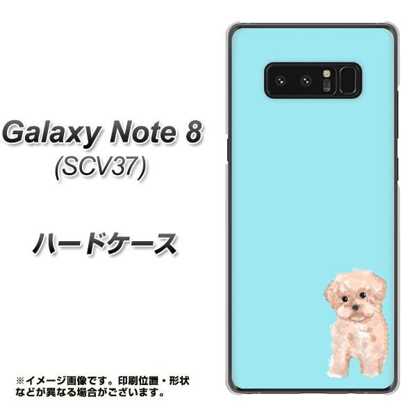 au ギャラクシーノート8 SCV37 高画質仕上げ 背面印刷 ハードケース【YJ062 トイプードルアプリコット(ブルー)】
