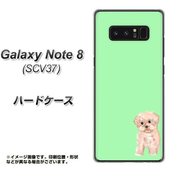 au ギャラクシーノート8 SCV37 高画質仕上げ 背面印刷 ハードケース【YJ063 トイプードルアプリコット(グリーン)】