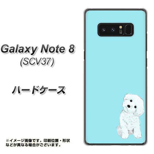 au ギャラクシーノート8 SCV37 高画質仕上げ 背面印刷 ハードケース【YJ070 トイプードルホワイト(ブルー)】