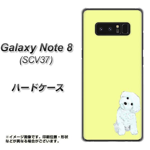 au ギャラクシーノート8 SCV37 高画質仕上げ 背面印刷 ハードケース【YJ072 トイプードルホワイト(イエロー)】
