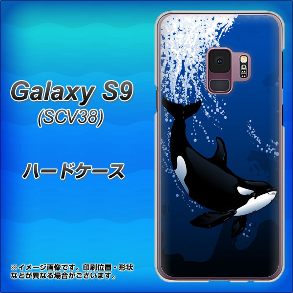 au ギャラクシー S9 SCV38 高画質仕上げ 背面印刷 ハードケース【423 シャチ】