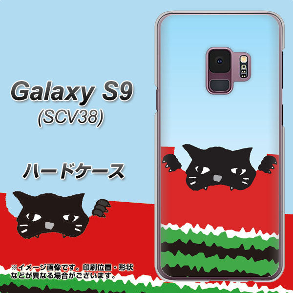 au ギャラクシー S9 SCV38 高画質仕上げ 背面印刷 ハードケース【IA815 すいかをかじるネコ(大)】