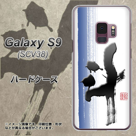 au ギャラクシー S9 SCV38 高画質仕上げ 背面印刷 ハードケース【OE829 斗】