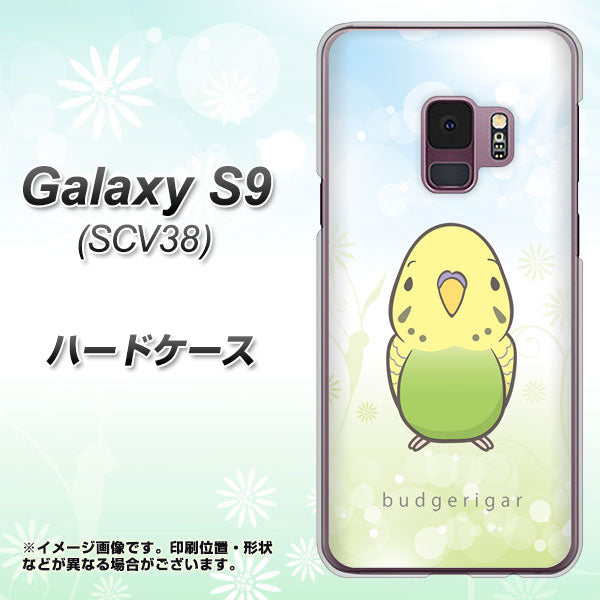 au ギャラクシー S9 SCV38 高画質仕上げ 背面印刷 ハードケース【SC838 セキセイインコ グリーン】