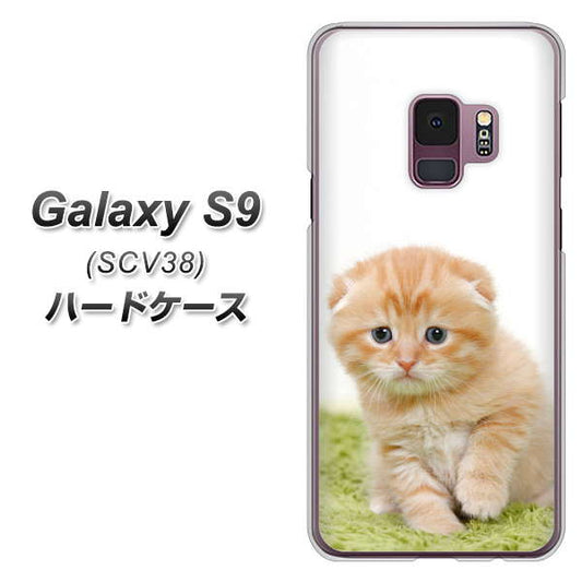 au ギャラクシー S9 SCV38 高画質仕上げ 背面印刷 ハードケース【VA802 ネコこっそり】
