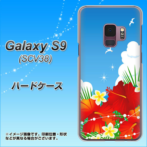 au ギャラクシー S9 SCV38 高画質仕上げ 背面印刷 ハードケース【VA821 ハイビスカスと青空】