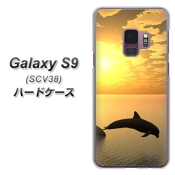 au ギャラクシー S9 SCV38 高画質仕上げ 背面印刷 ハードケース【VA845 夕暮れのドルフィン】